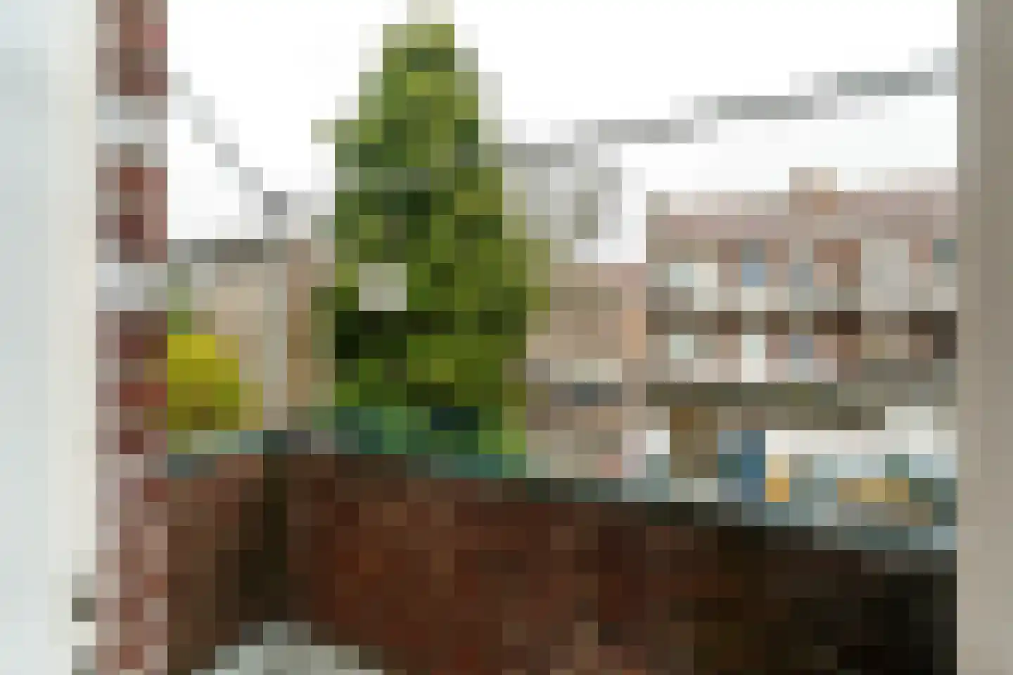 Wolphaertsbocht 213 C Rotterdam thumbnail 13
