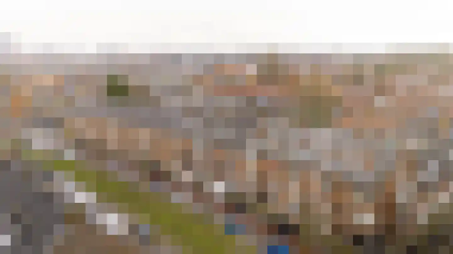 Wolphaertsbocht 213 C Rotterdam thumbnail 15