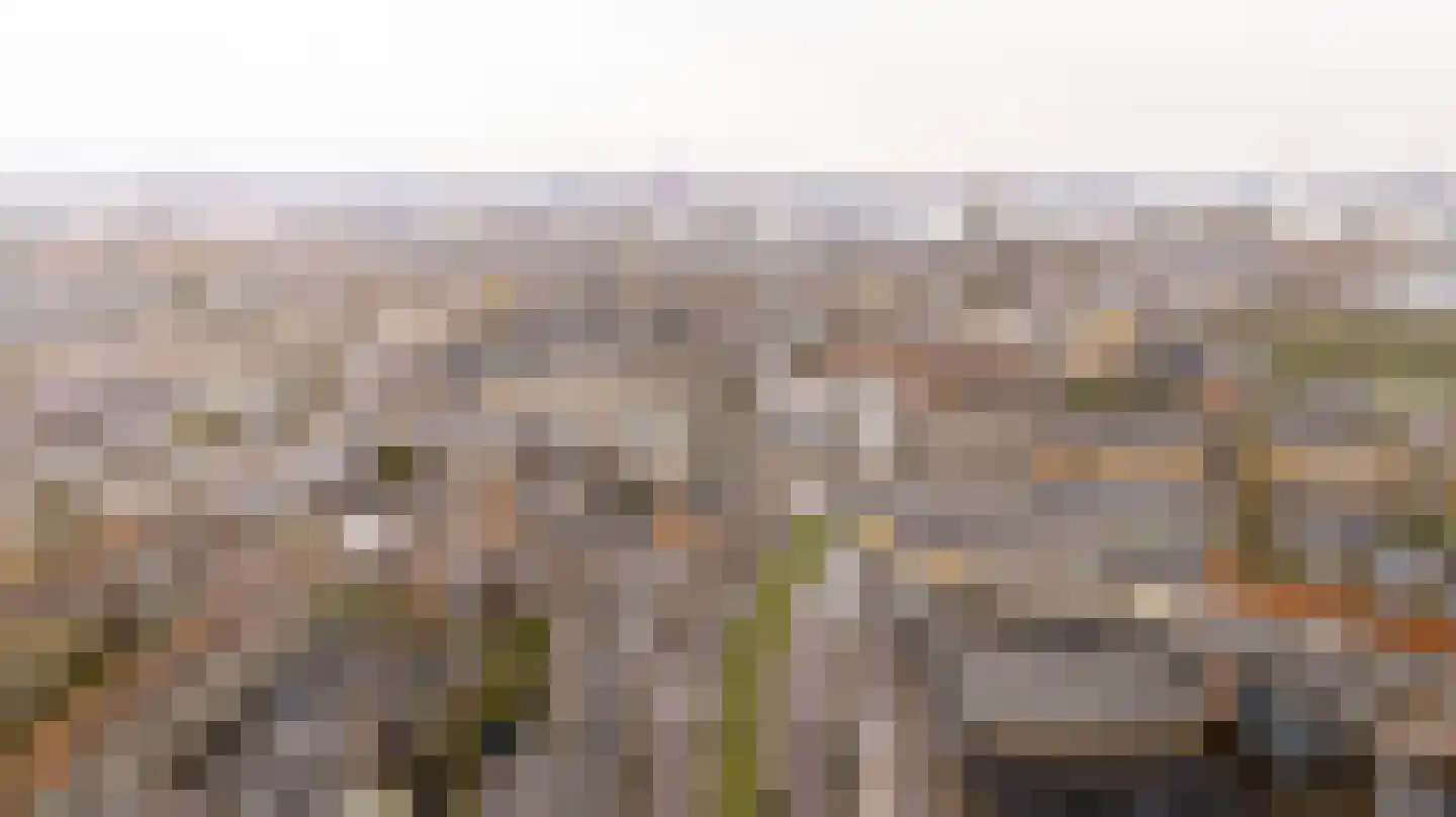 Wolphaertsbocht 213 C Rotterdam thumbnail 17