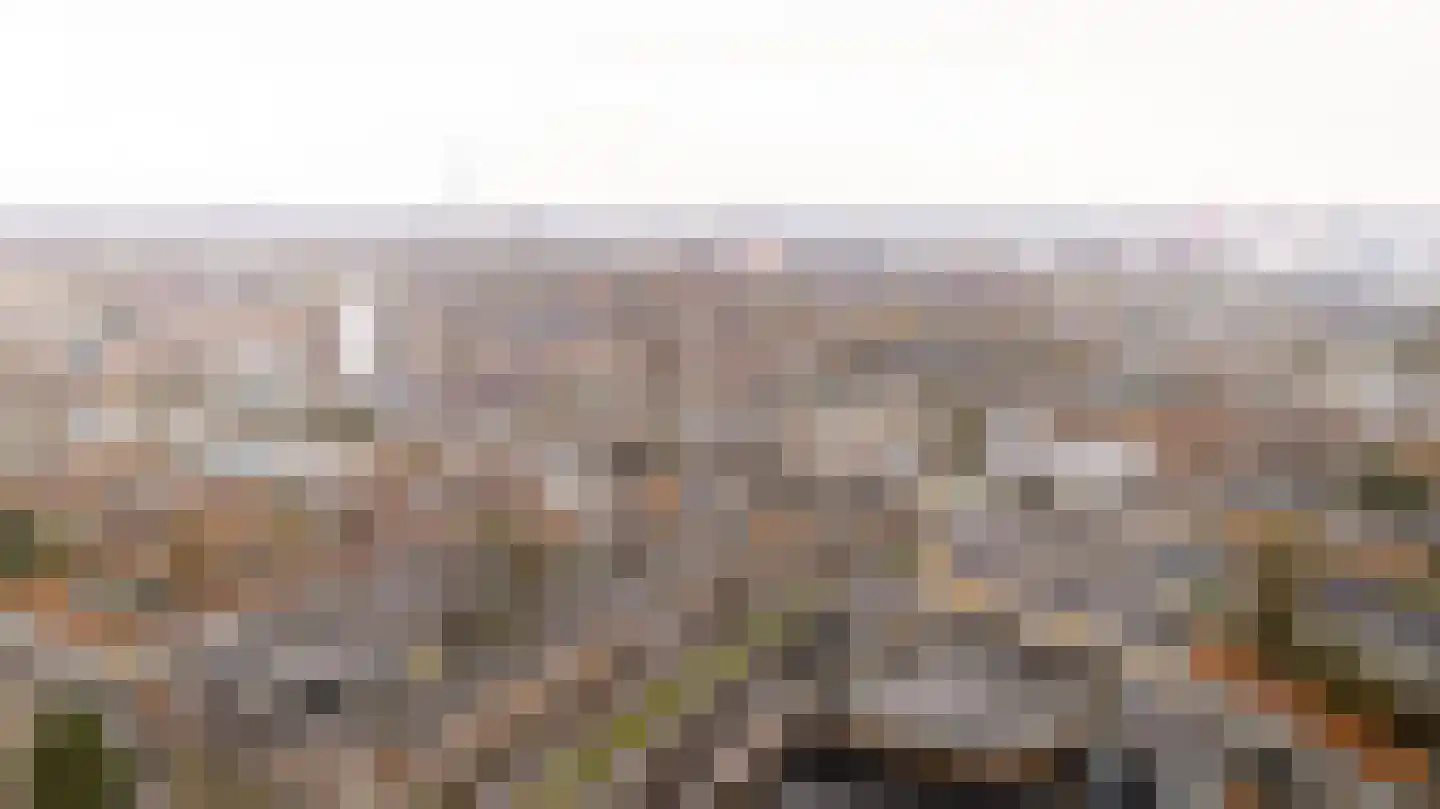 Wolphaertsbocht 213 C Rotterdam thumbnail 18