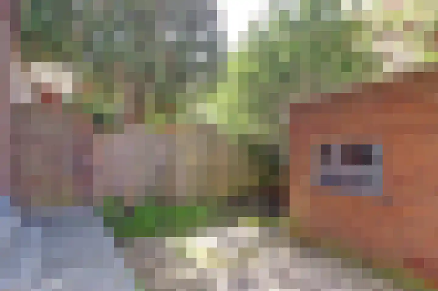 Wolphaertsbocht 217 A Rotterdam thumbnail 10