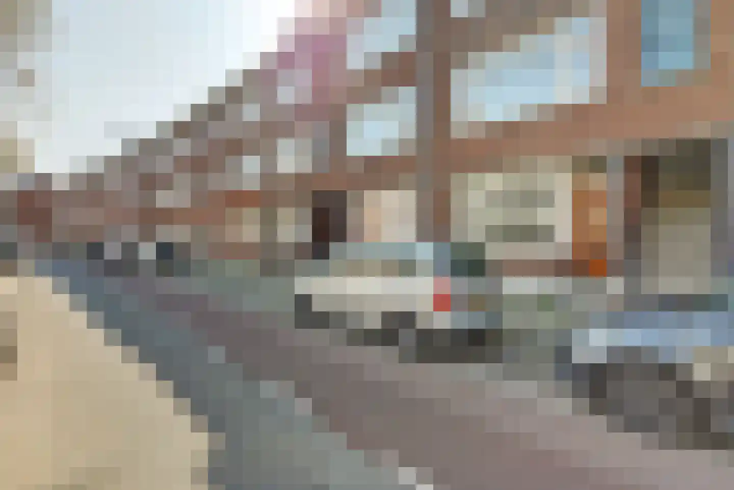 Wolphaertsbocht 217 A Rotterdam thumbnail 17