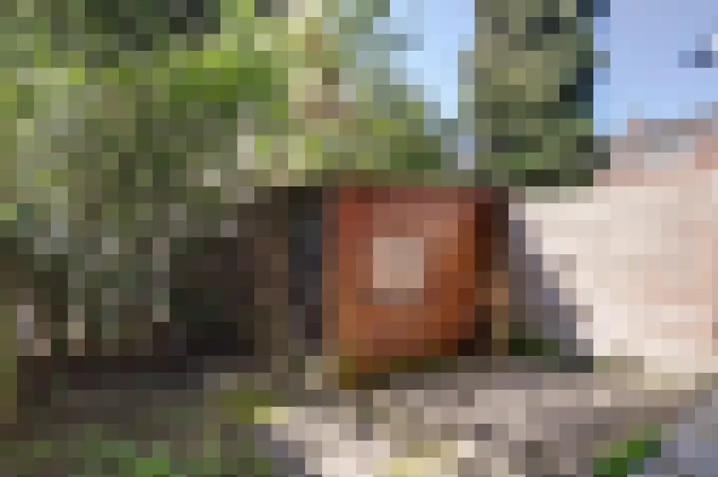 Wolphaertsbocht 217 A Rotterdam thumbnail 9