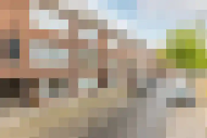 Wolphaertsbocht 217 B Rotterdam thumbnail 16