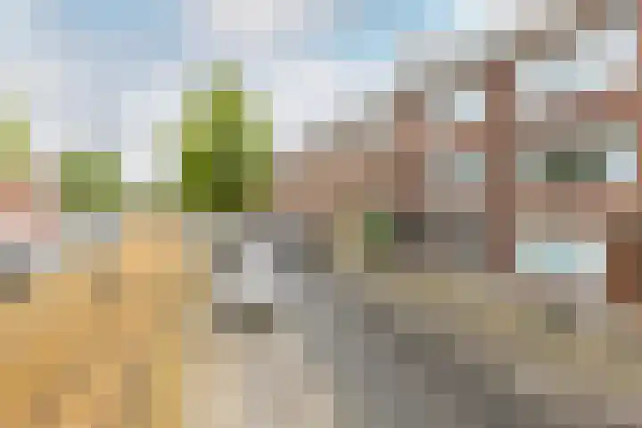 Wolphaertsbocht 217 B Rotterdam thumbnail 6