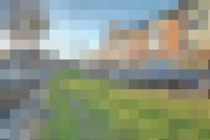 Wolphaertsbocht 236 B Rotterdam thumbnail 22