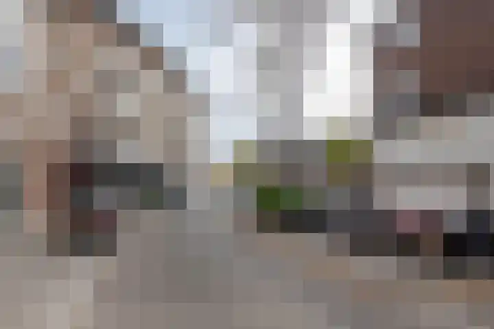 Wolphaertsbocht 262 C Rotterdam thumbnail 22