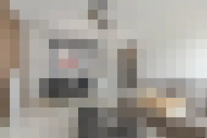 Wolphaertsbocht 262 C Rotterdam thumbnail 7