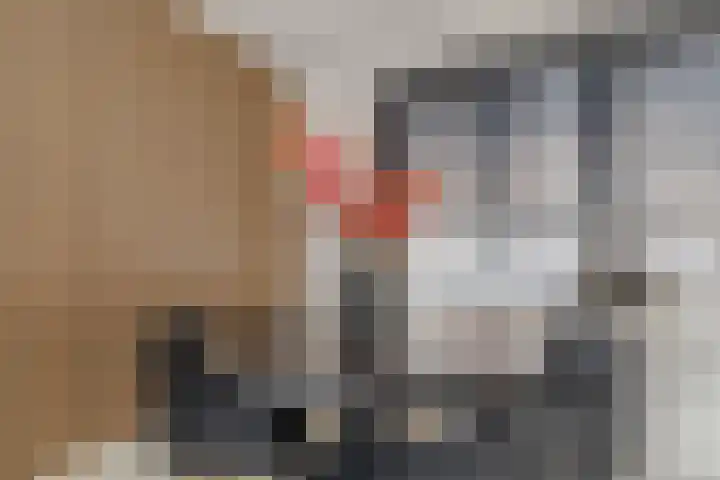 Wolphaertsbocht 262 C Rotterdam thumbnail 8