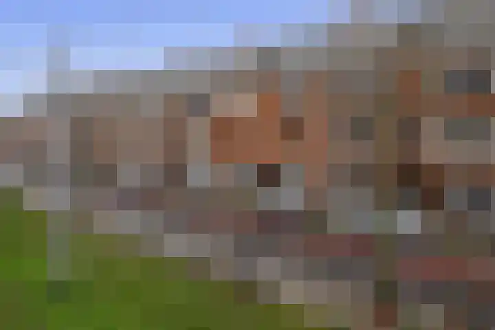Wolphaertsbocht 263 C Rotterdam thumbnail 28