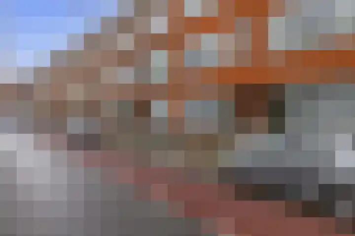 Wolphaertsbocht 263 C Rotterdam thumbnail 4