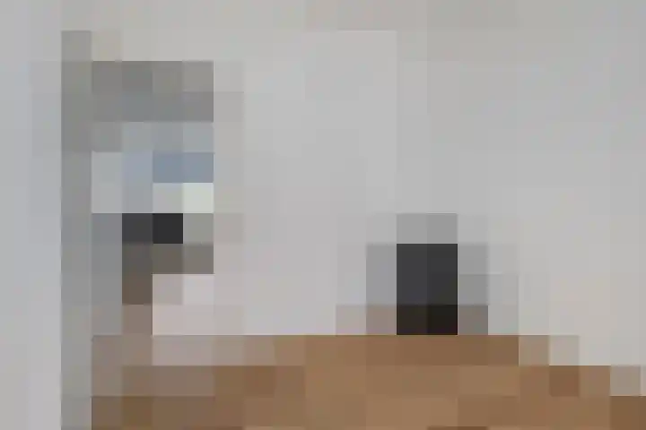 Wolphaertsbocht 270 B Rotterdam thumbnail 7