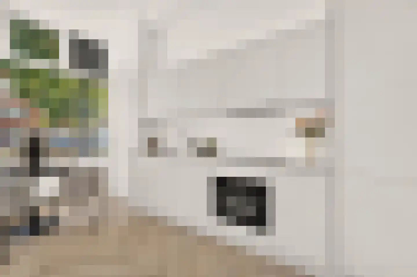 Wolphaertsbocht 362 Rotterdam thumbnail 15