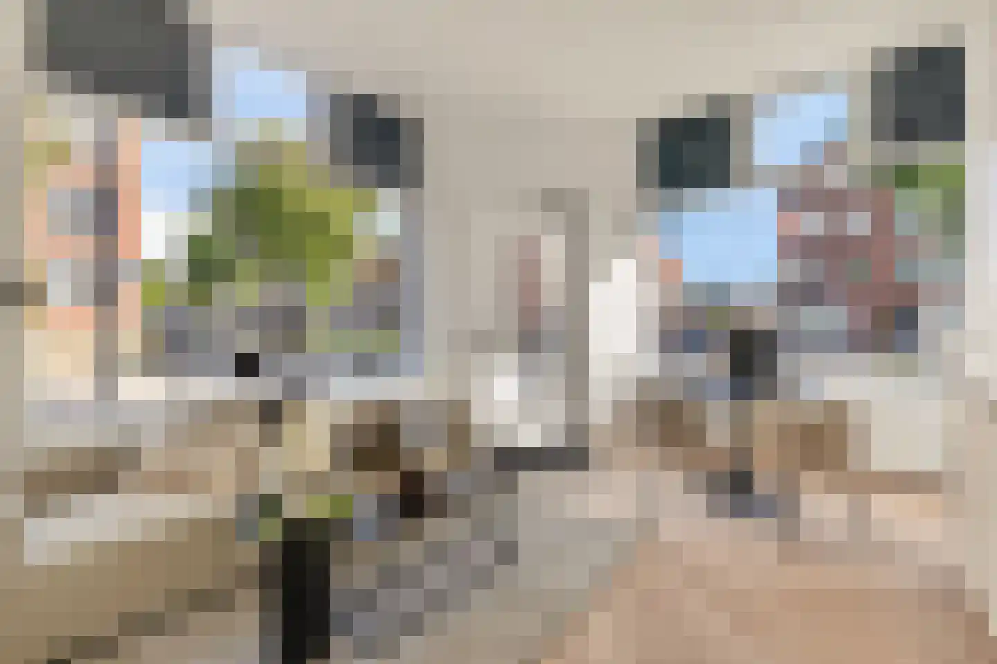 Wolphaertsbocht 362 Rotterdam thumbnail 4
