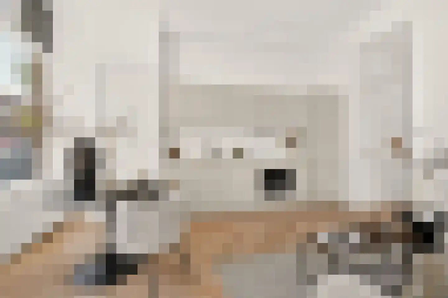 Wolphaertsbocht 362 Rotterdam thumbnail 8