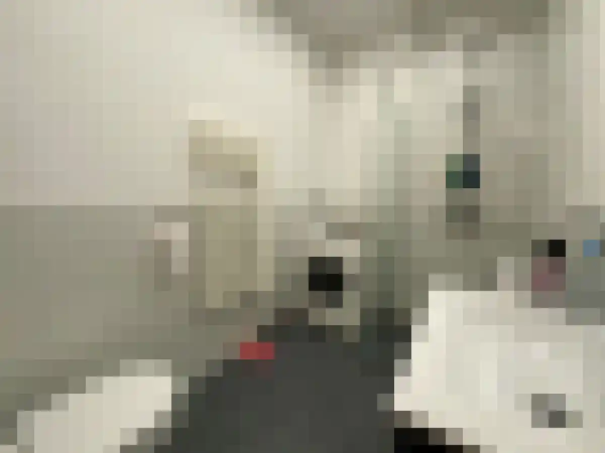 Wolphaertsbocht 373 Rotterdam thumbnail 6