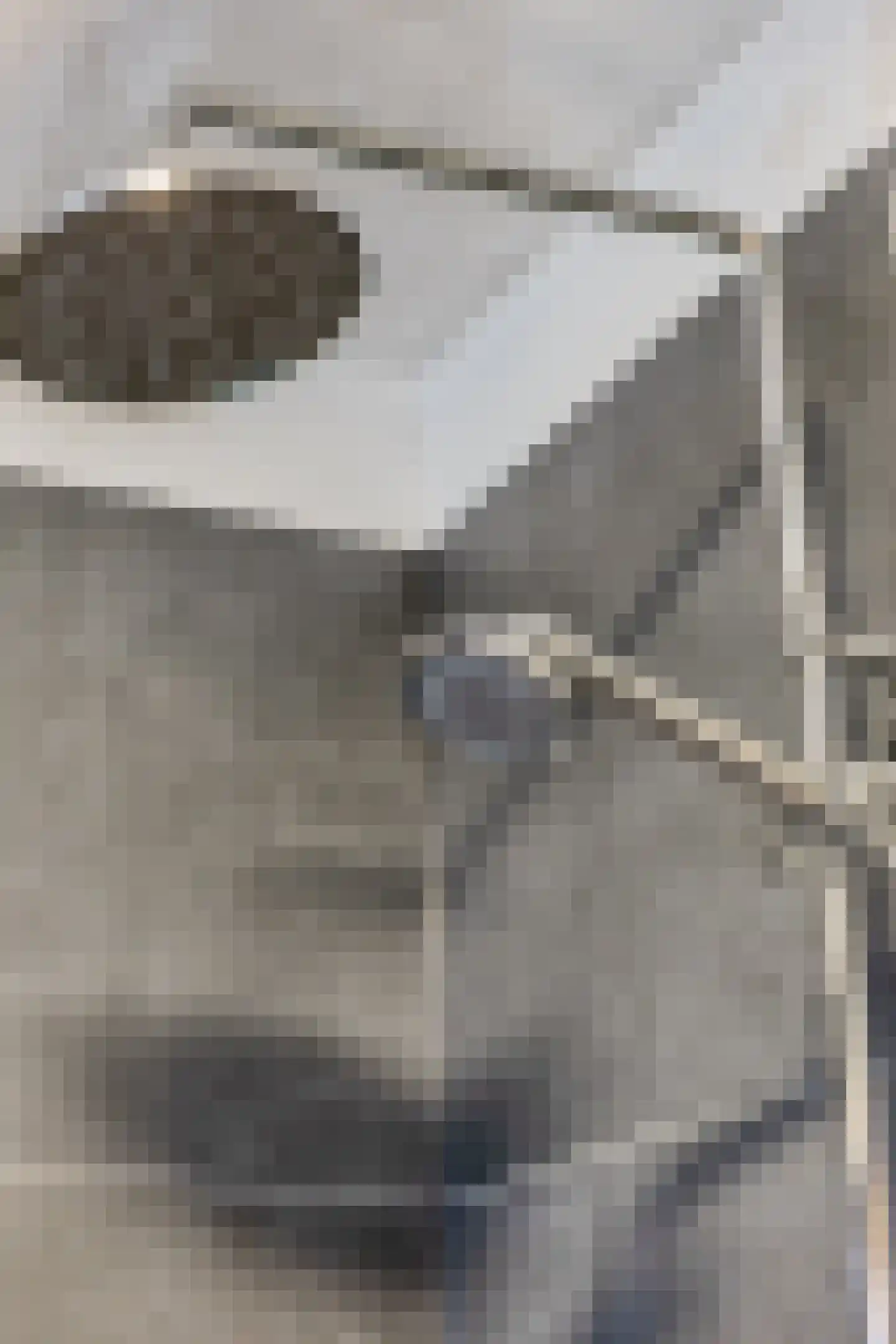 Wolphaertsbocht 374 Rotterdam thumbnail 38