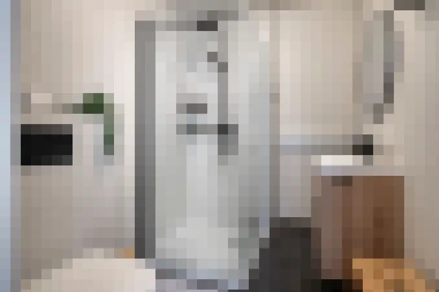 Wolphaertsbocht 393 B 01 Rotterdam thumbnail 18
