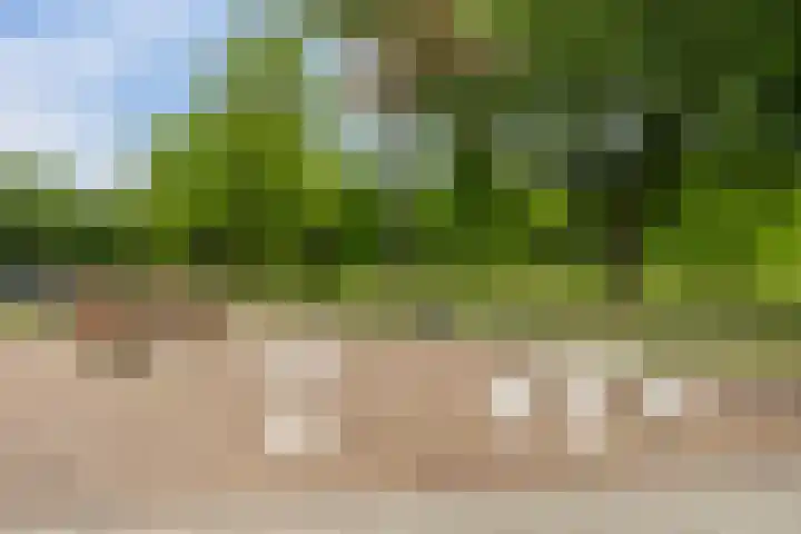 Wolphaertsbocht 86 C Rotterdam thumbnail 32