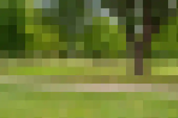 Wolphaertsbocht 86 C Rotterdam thumbnail 33