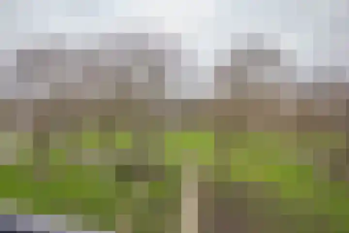 Wolphaertsbocht 90 C Rotterdam thumbnail 16