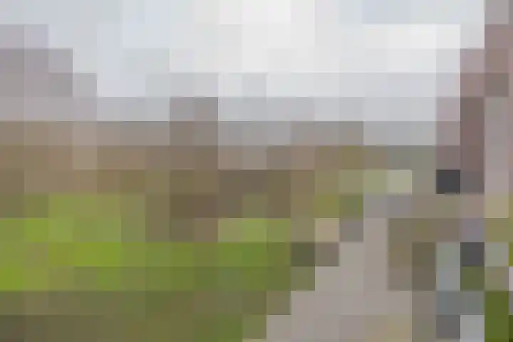 Wolphaertsbocht 90 C Rotterdam thumbnail 17