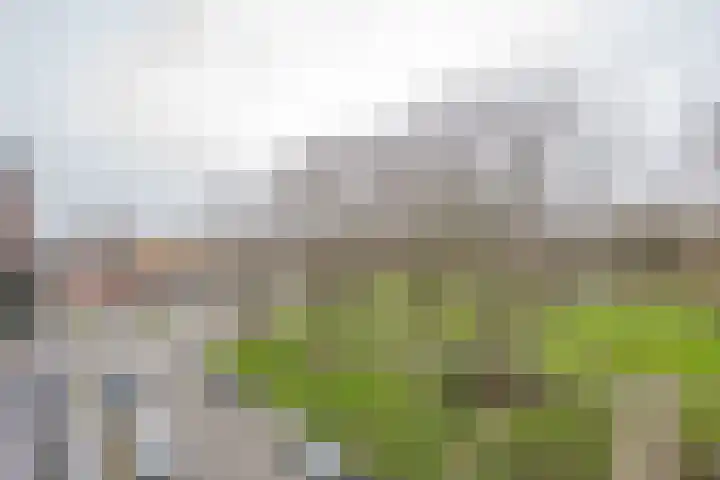 Wolphaertsbocht 90 C Rotterdam thumbnail 18