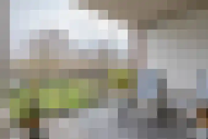 Wolphaertsbocht 90 C Rotterdam thumbnail 4