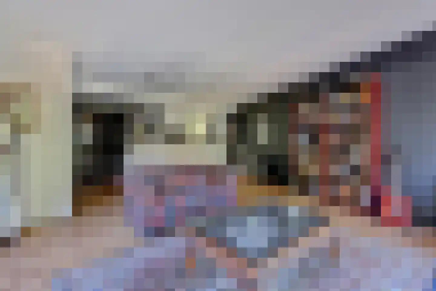 Wolpherenwal 24 Gorinchem thumbnail 12