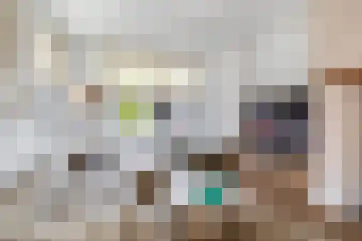Wolput 11 Vlijmen thumbnail 10