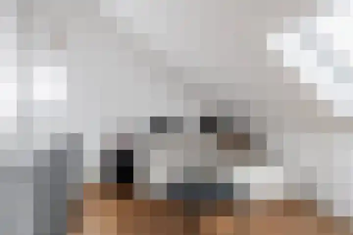 Wolput 11 Vlijmen thumbnail 109