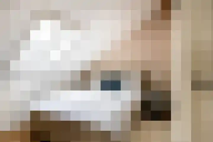Wolput 11 Vlijmen thumbnail 120