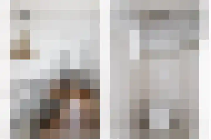 Wolput 11 Vlijmen thumbnail 144