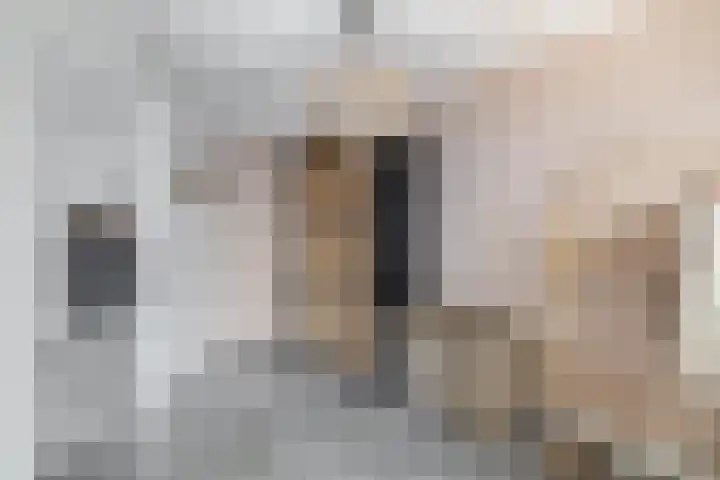 Wolput 11 Vlijmen thumbnail 151
