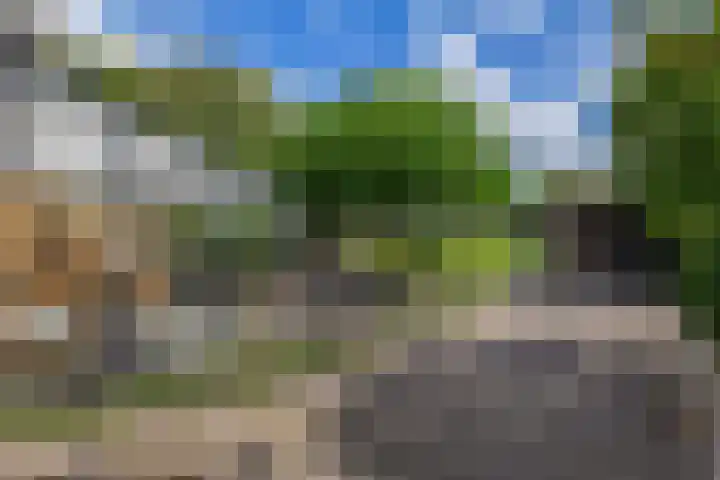Wolput 11 Vlijmen thumbnail 162