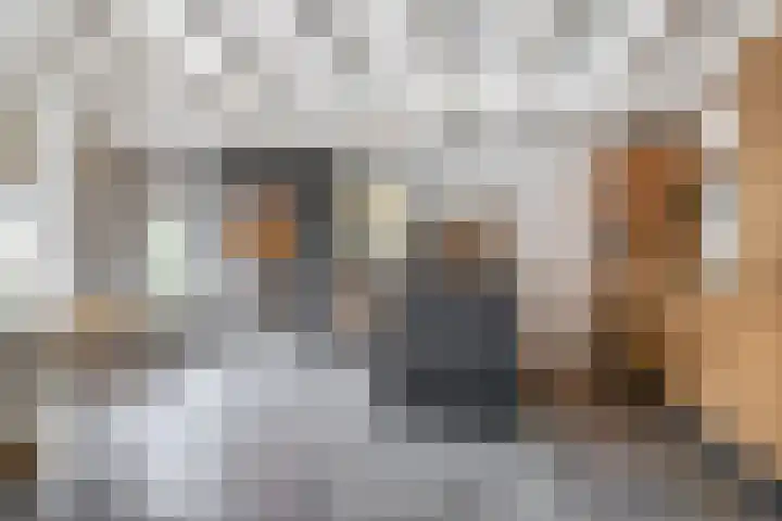 Wolput 11 Vlijmen thumbnail 20