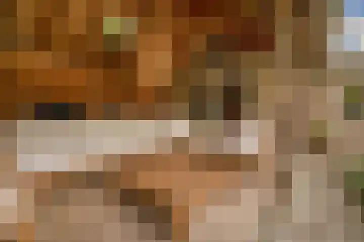 Wolput 11 Vlijmen thumbnail 29