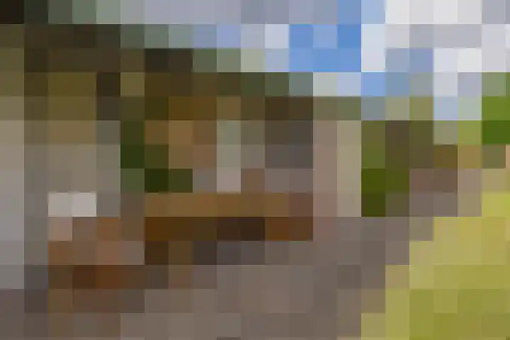 Wolput 11 Vlijmen thumbnail 30