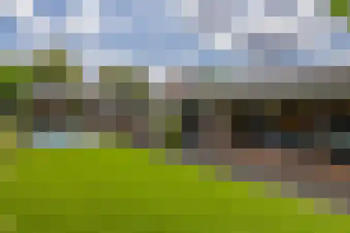 Wolput 11 Vlijmen thumbnail 33