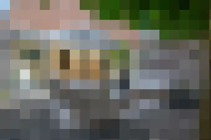 Wolput 11 Vlijmen thumbnail 35
