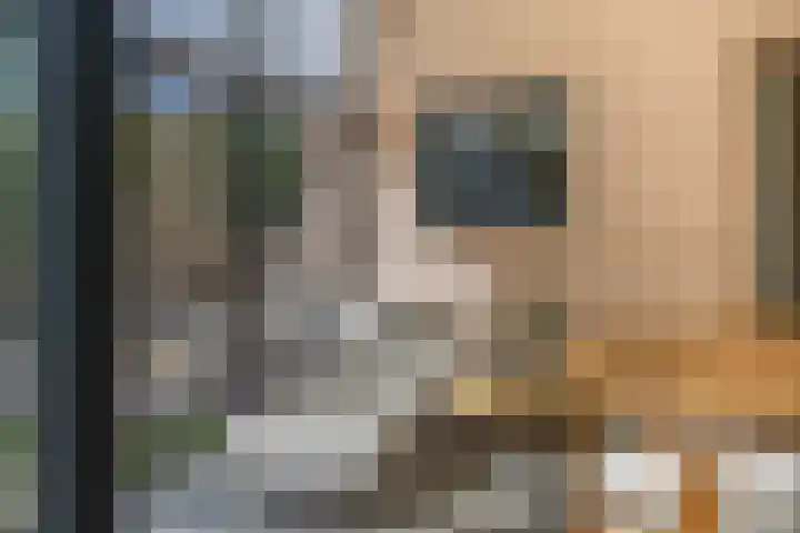 Wolput 11 Vlijmen thumbnail 42