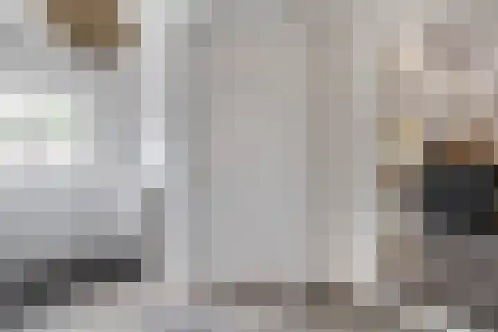 Wolput 11 Vlijmen thumbnail 7