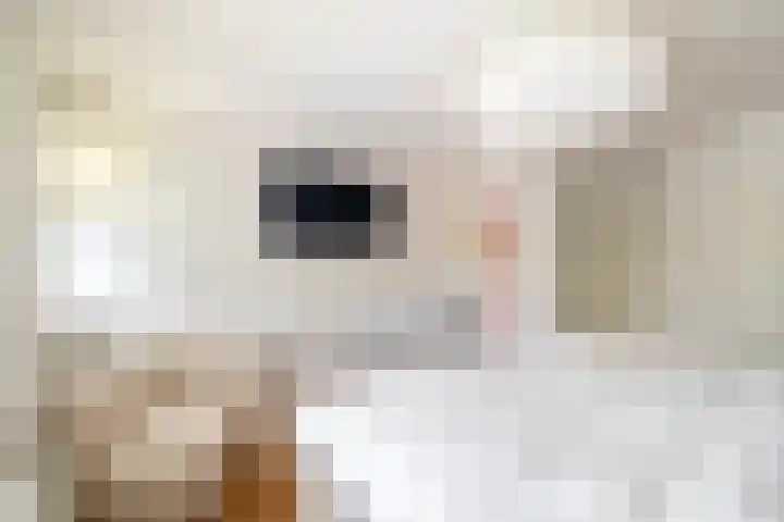 Wolput 11 Vlijmen thumbnail 72