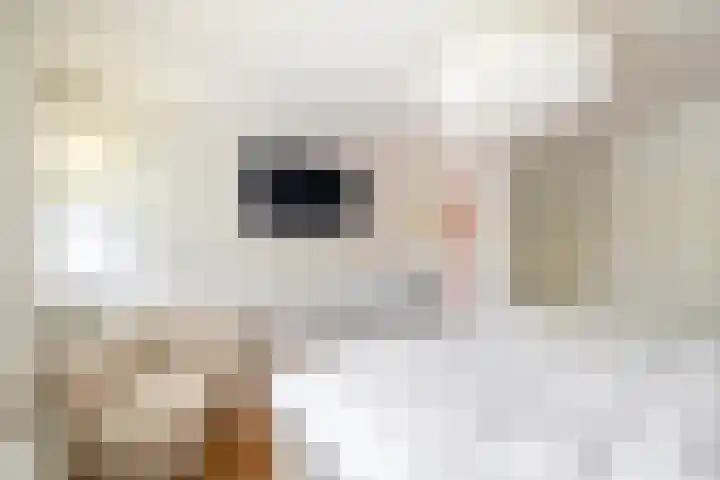 Wolput 11 Vlijmen thumbnail 74