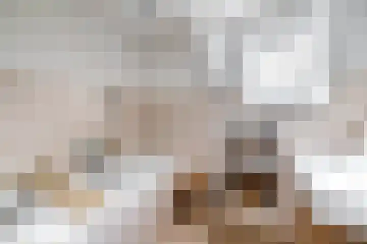 Wolput 11 Vlijmen thumbnail 78