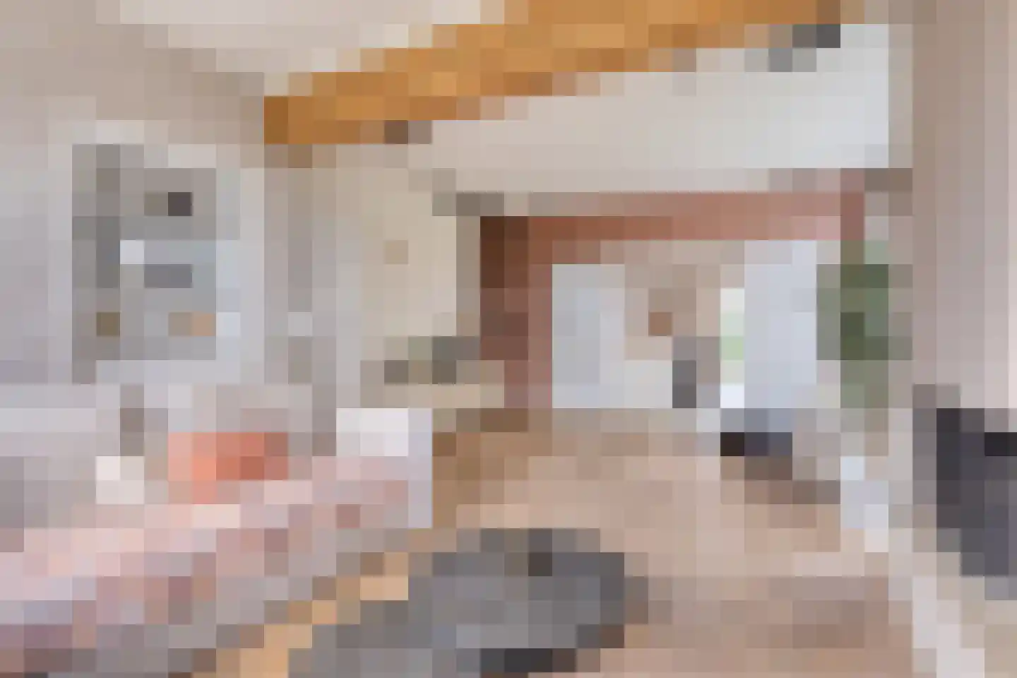 Wolput 4 Vlijmen thumbnail 12