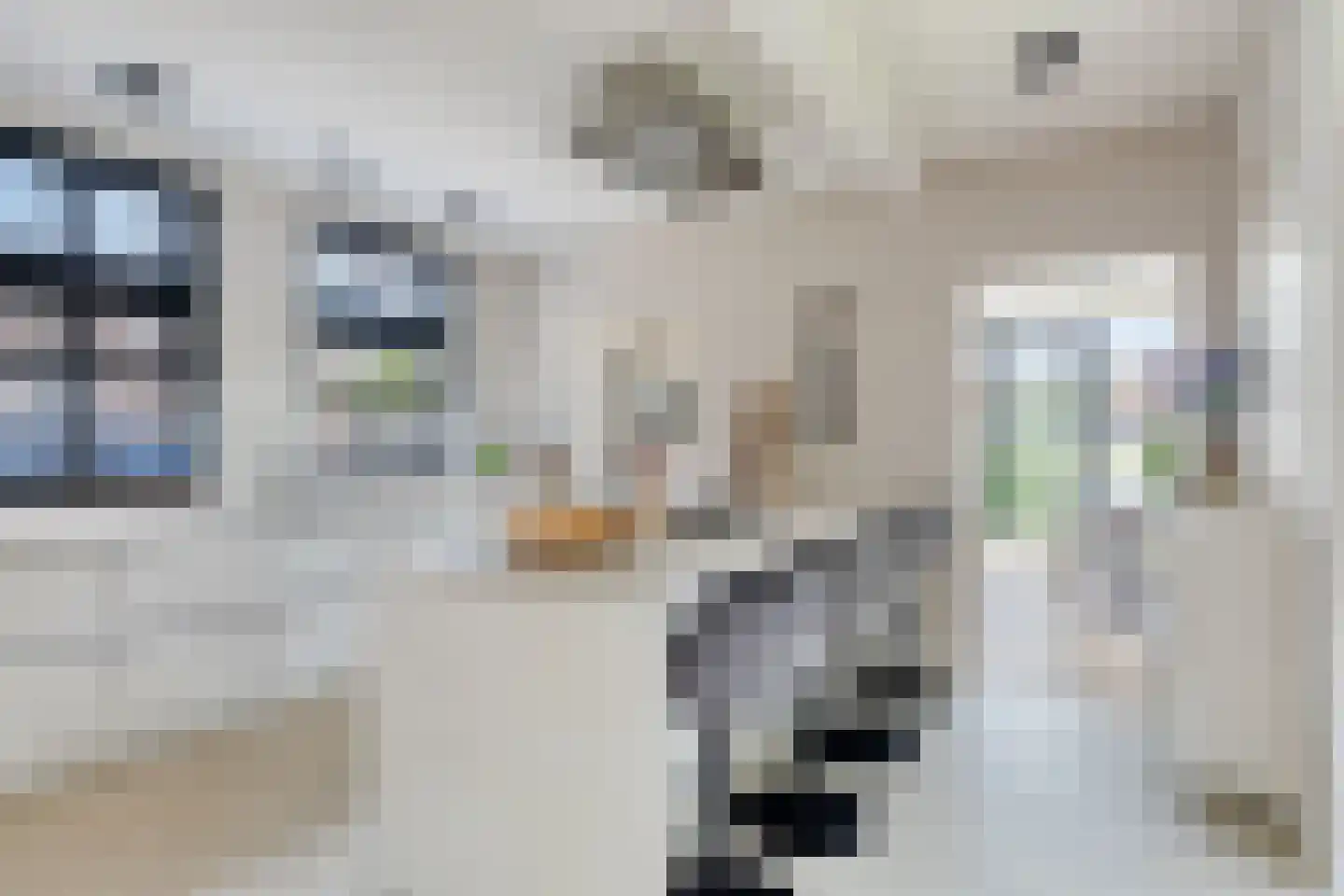 Wolput 4 Vlijmen thumbnail 16