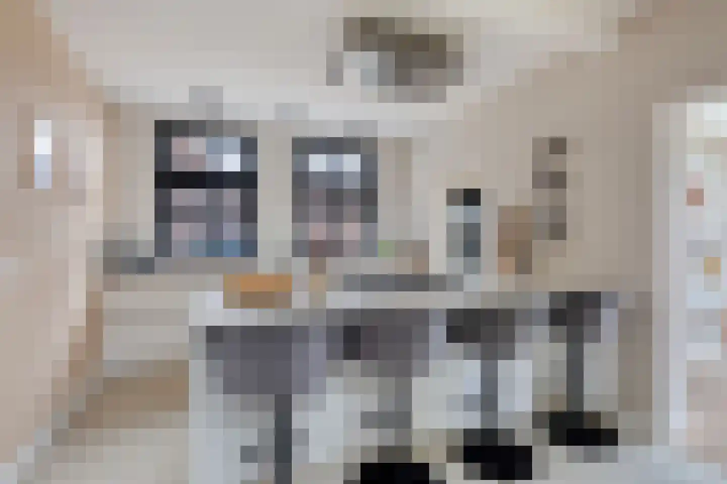 Wolput 4 Vlijmen thumbnail 17