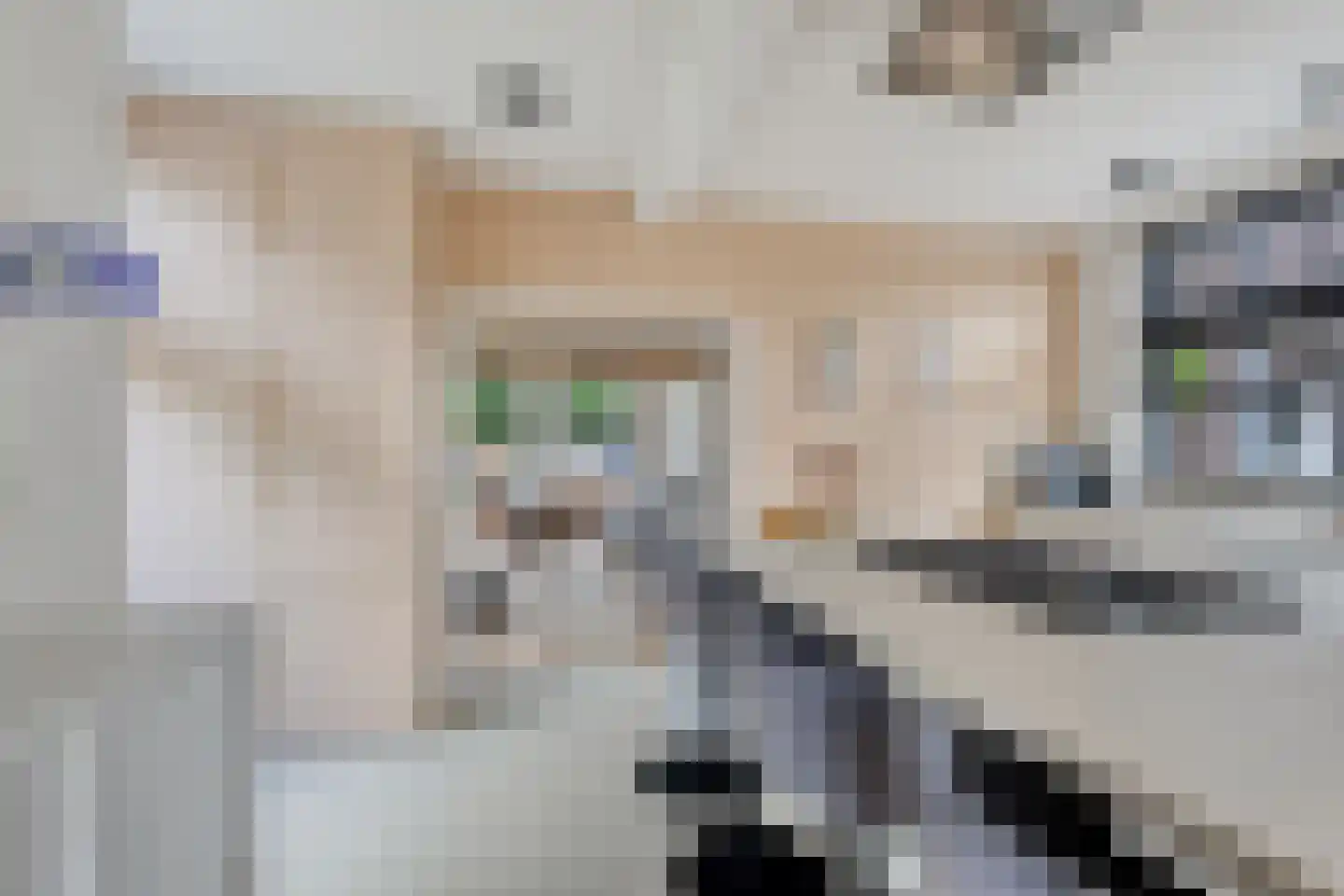 Wolput 4 Vlijmen thumbnail 19