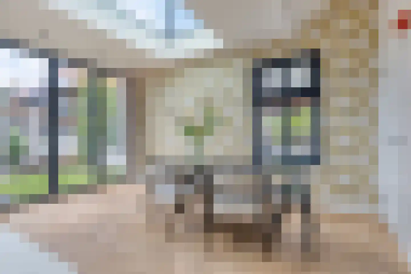 Wolput 4 Vlijmen thumbnail 23
